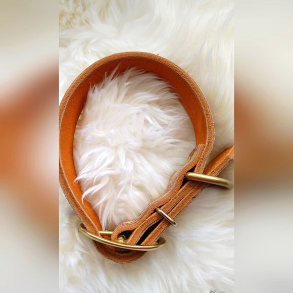 Gorgeous Handcrafted Western Style Collar - Picture 5 of 8